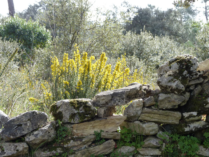 Kinder werden festgehalten, 13. August 1917