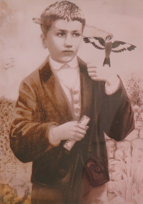 Francisco und die Vögel