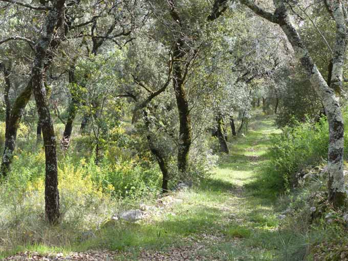 Erscheinung Unserer Lieben Frau 1921