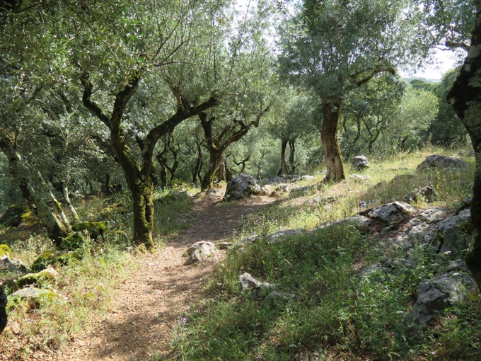 Weg am Hang des Monte do Cabeço