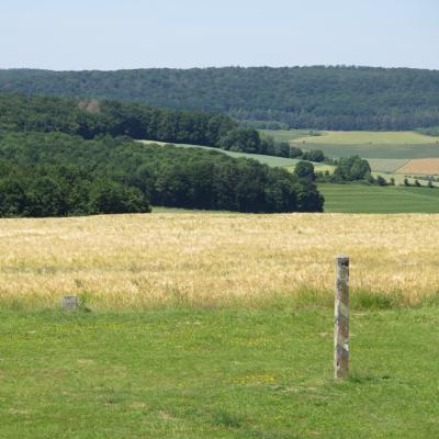 2019 06 23 0069 Point Alpha 25kl