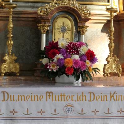 2019 10 23 Stamsried 43kl