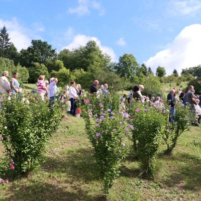 2023 09 02 Koclirov 01611