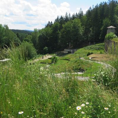 2019 06 21 0055 Flossenbuerg Kl 12